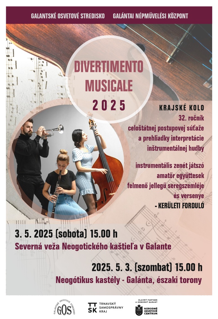 Divertimento musicale 2025
